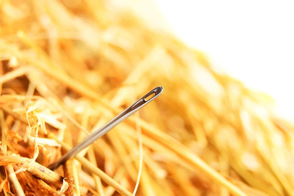 Needle in a haystack